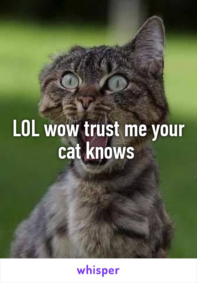 LOL wow trust me your cat knows 