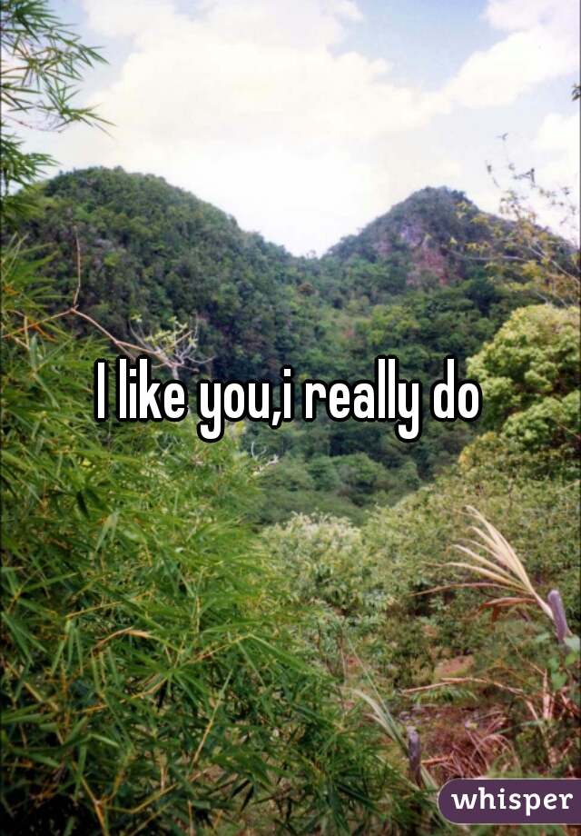 I like you,i really do