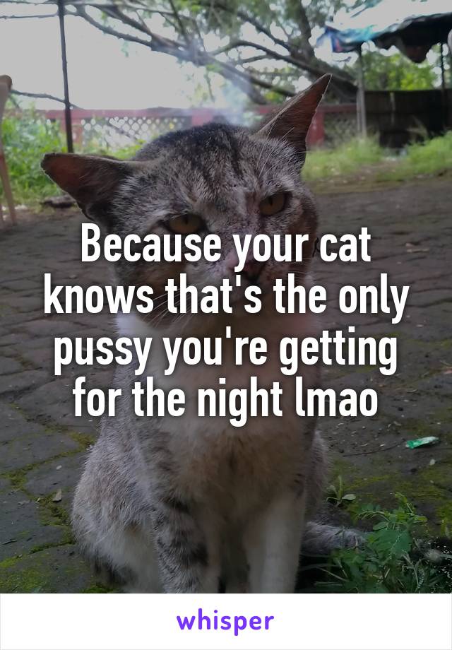 Because your cat knows that's the only pussy you're getting for the night lmao