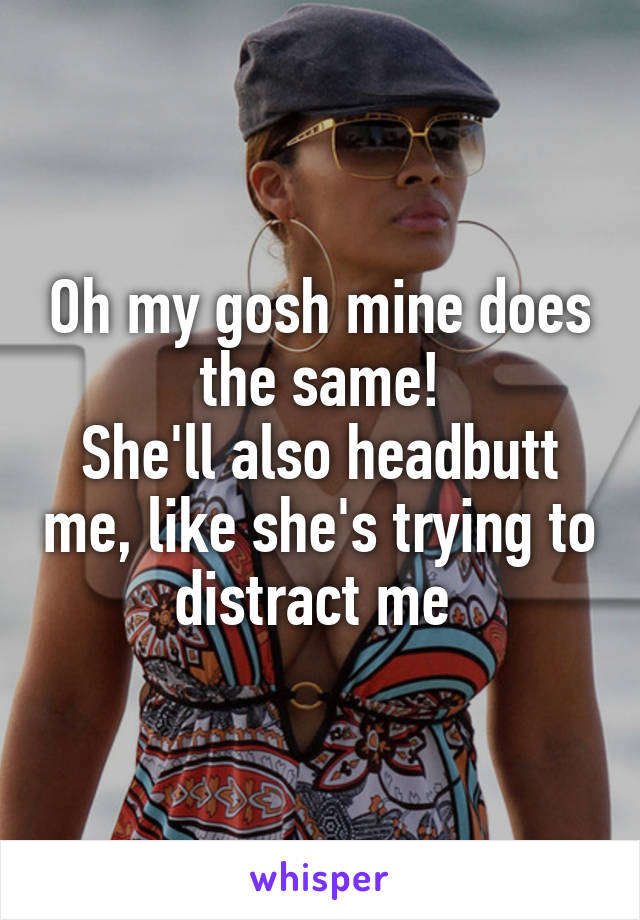 Oh my gosh mine does the same!
She'll also headbutt me, like she's trying to distract me 