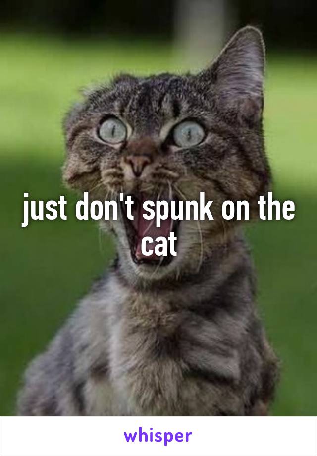 just don't spunk on the cat