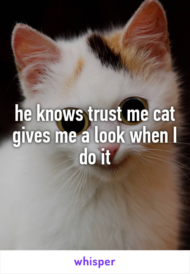 he knows trust me cat gives me a look when I do it