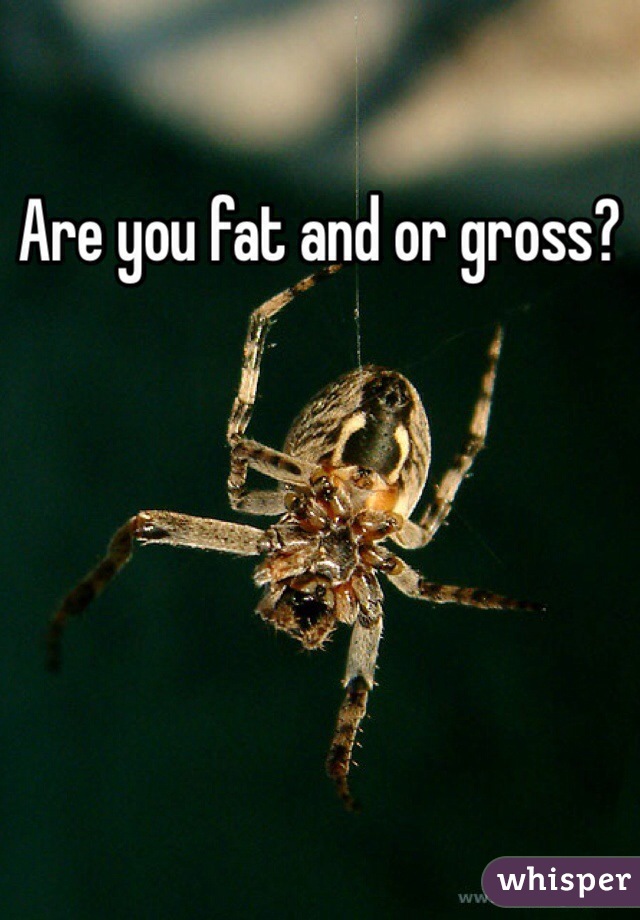Are you fat and or gross?