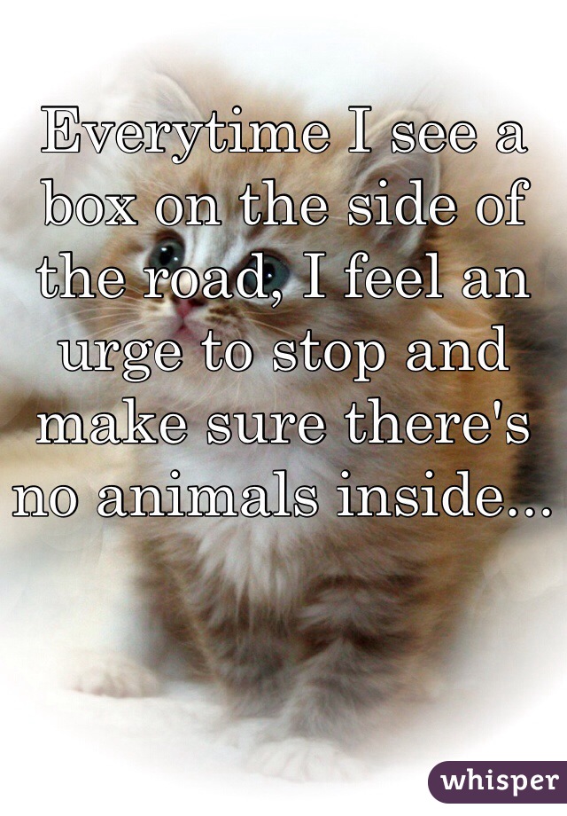 Everytime I see a box on the side of the road, I feel an urge to stop and make sure there's no animals inside...