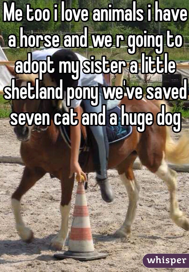 Me too i love animals i have a horse and we r going to adopt my sister a little shetland pony we've saved seven cat and a huge dog 