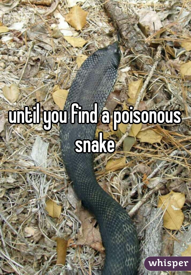 until you find a poisonous snake 