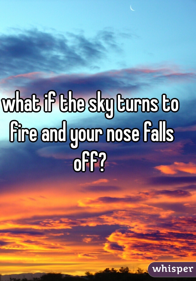 what if the sky turns to fire and your nose falls off? 