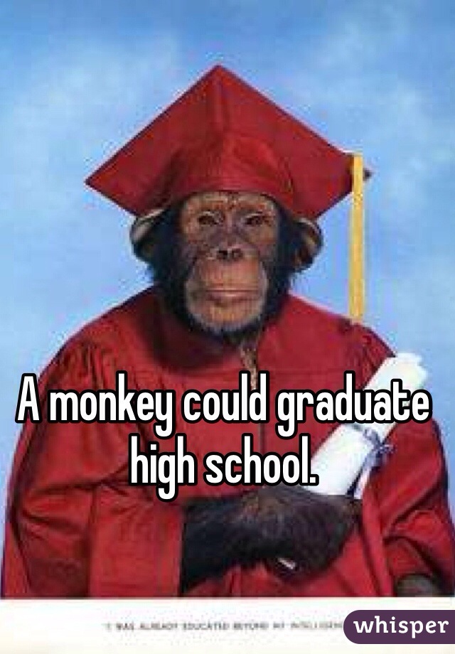 A monkey could graduate high school.