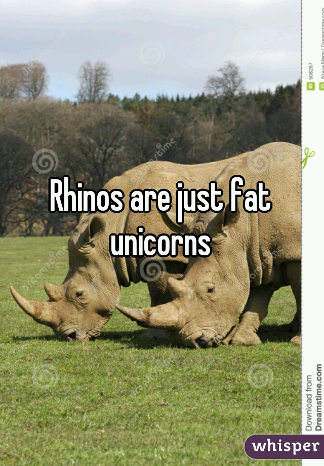 Rhinos are just fat unicorns 