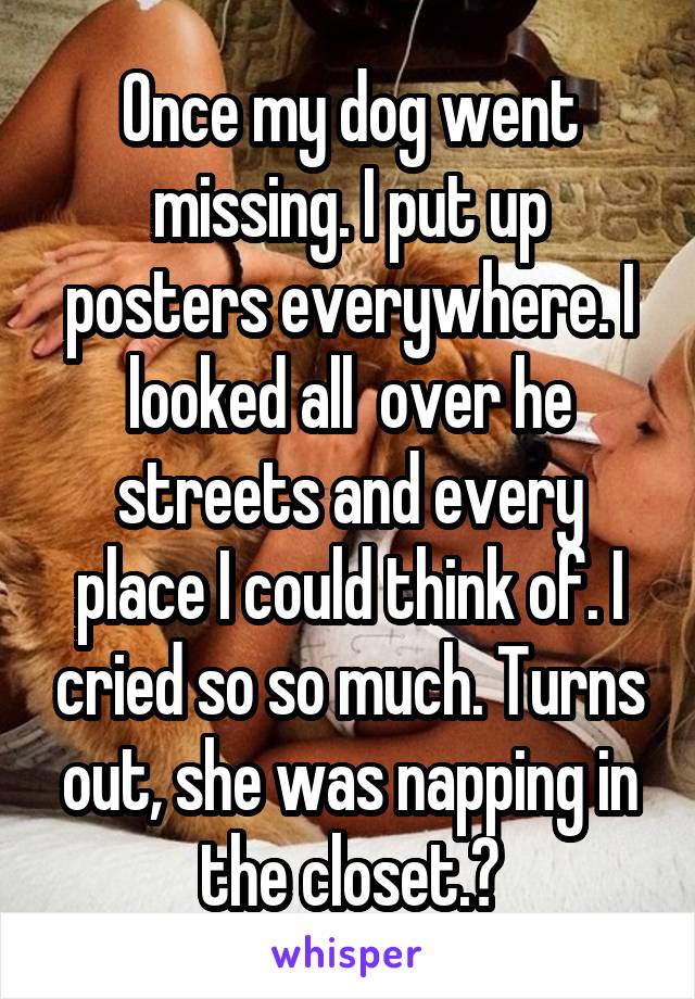 Once my dog went missing. I put up posters everywhere. I looked all  over he streets and every place I could think of. I cried so so much. Turns out, she was napping in the closet.😋