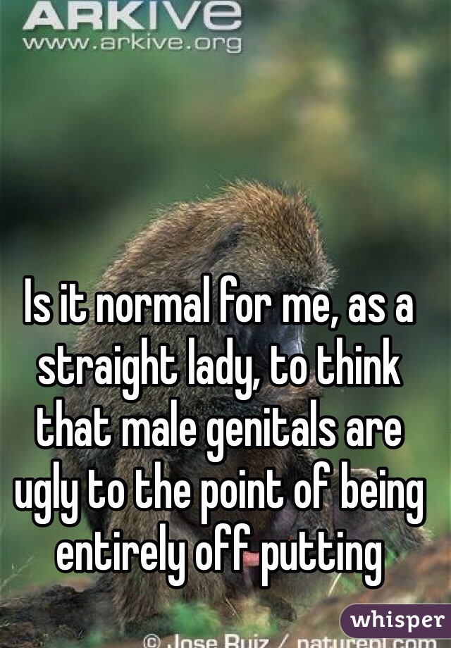 Is it normal for me, as a straight lady, to think that male genitals are ugly to the point of being entirely off putting  