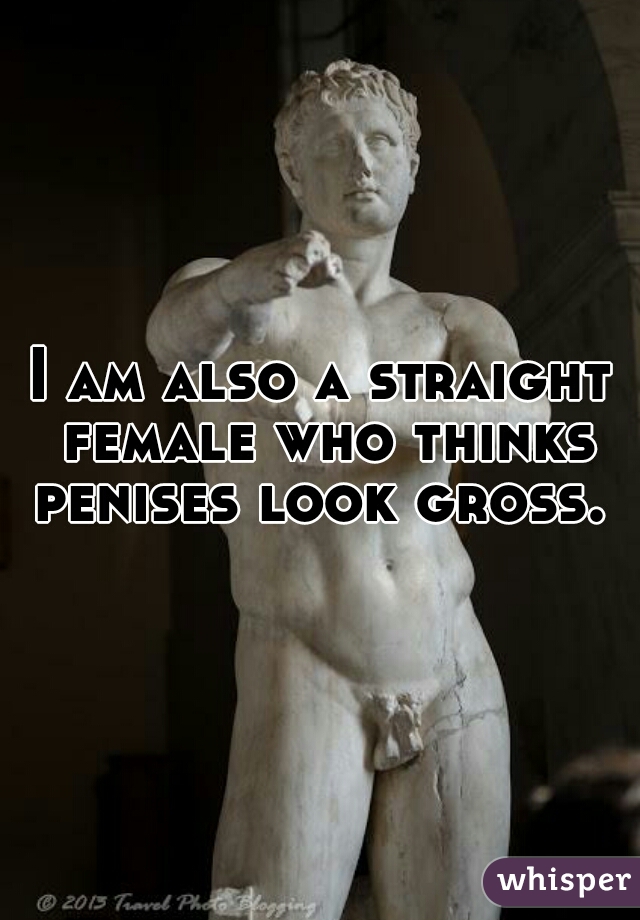 I am also a straight female who thinks penises look gross. 