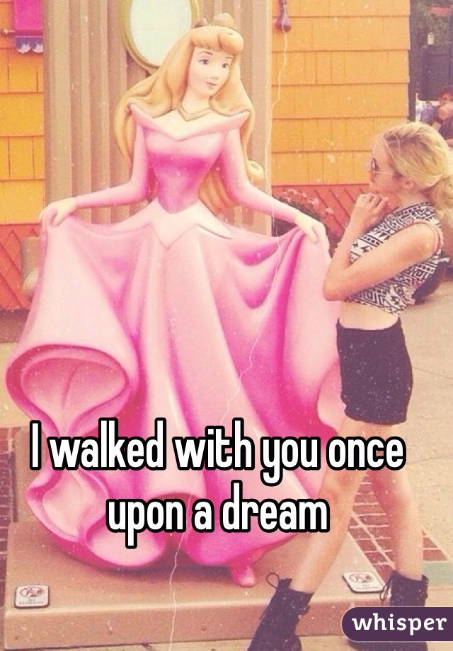I walked with you once upon a dream