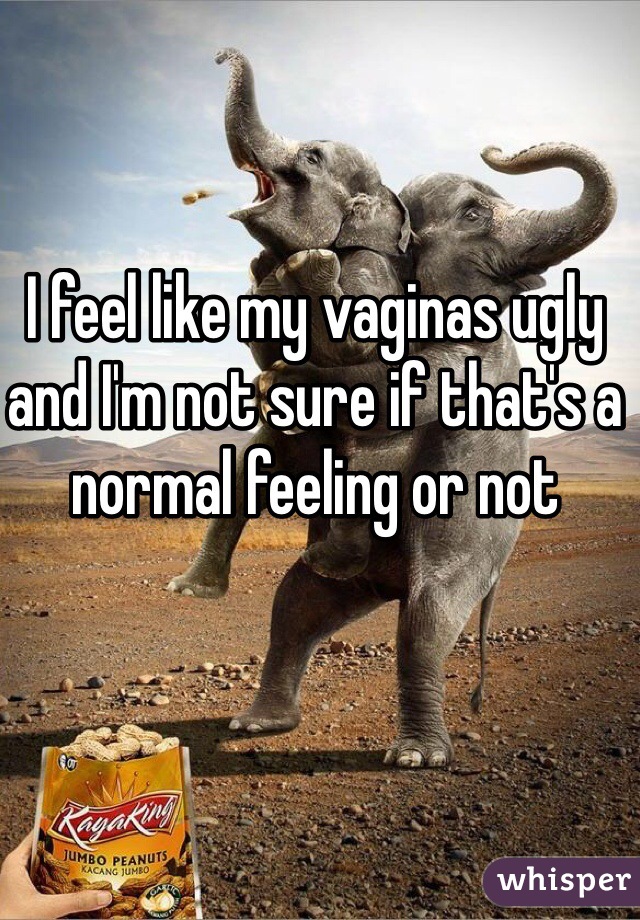 I feel like my vaginas ugly and I'm not sure if that's a normal feeling or not