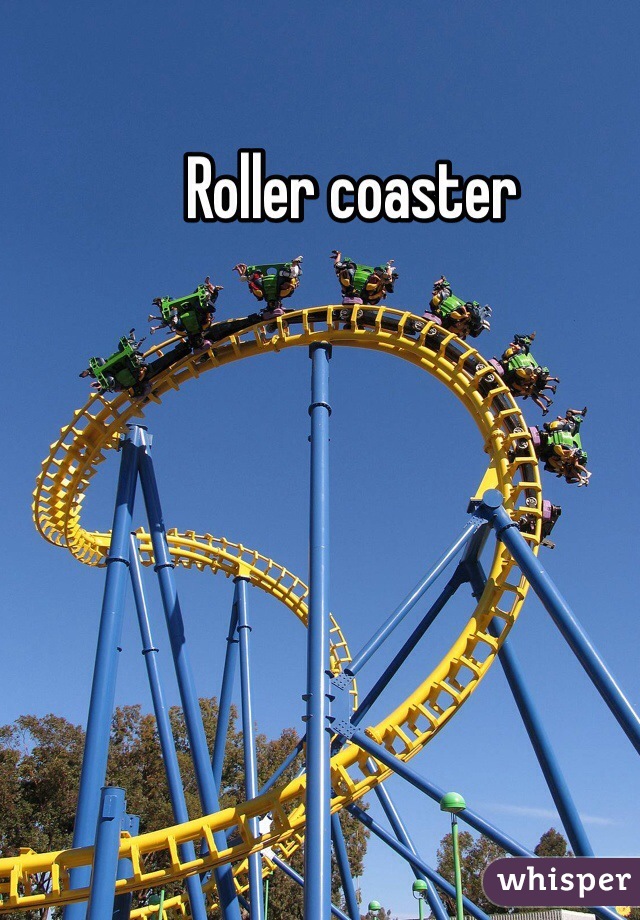 Roller coaster