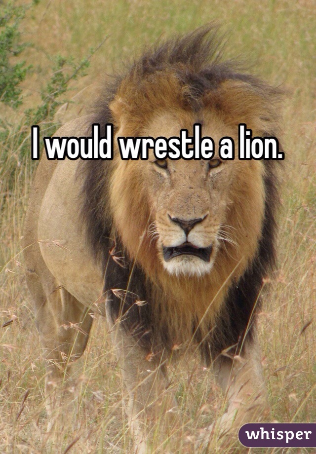 I would wrestle a lion. 