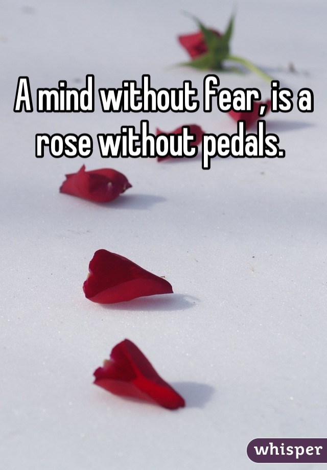 A mind without fear, is a rose without pedals. 