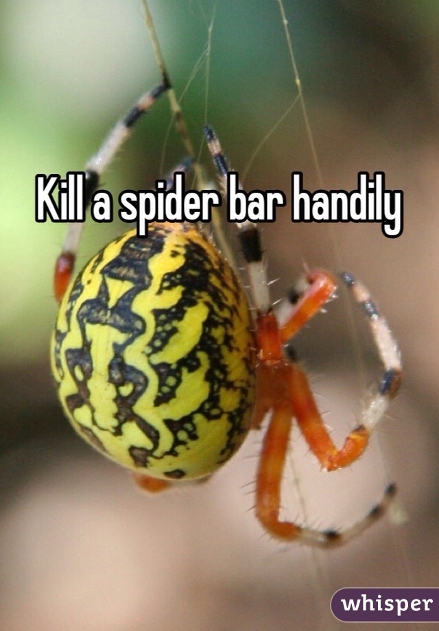 Kill a spider bar handily 