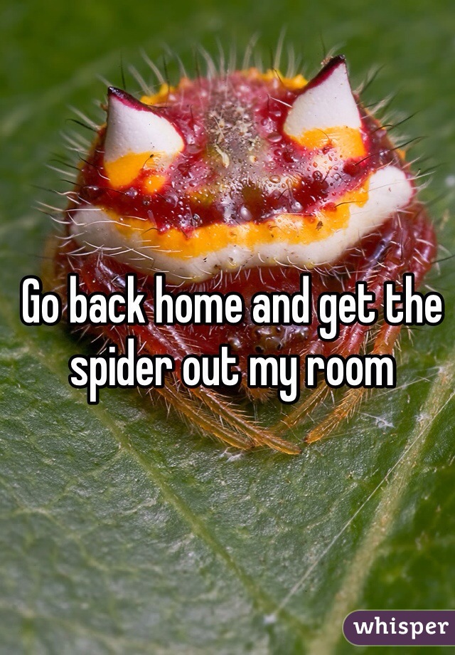 Go back home and get the spider out my room