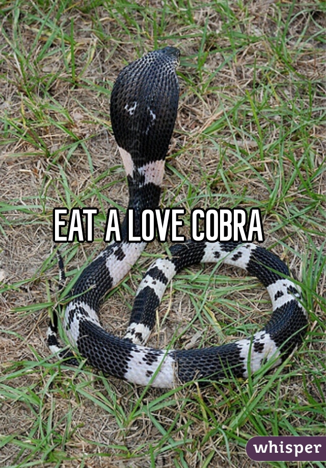 EAT A LOVE COBRA 