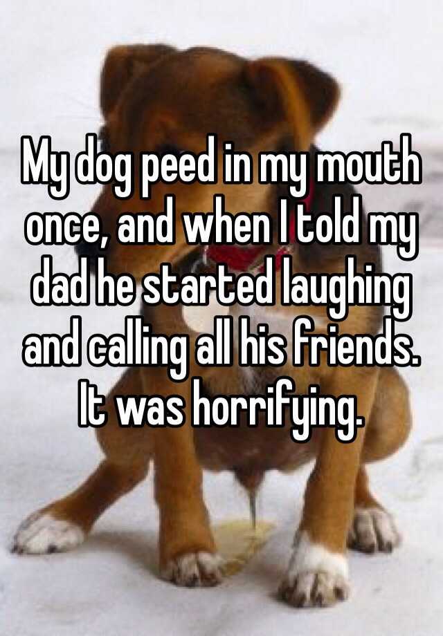 my-dog-peed-in-my-mouth-once-and-when-i-told-my-dad-he-started