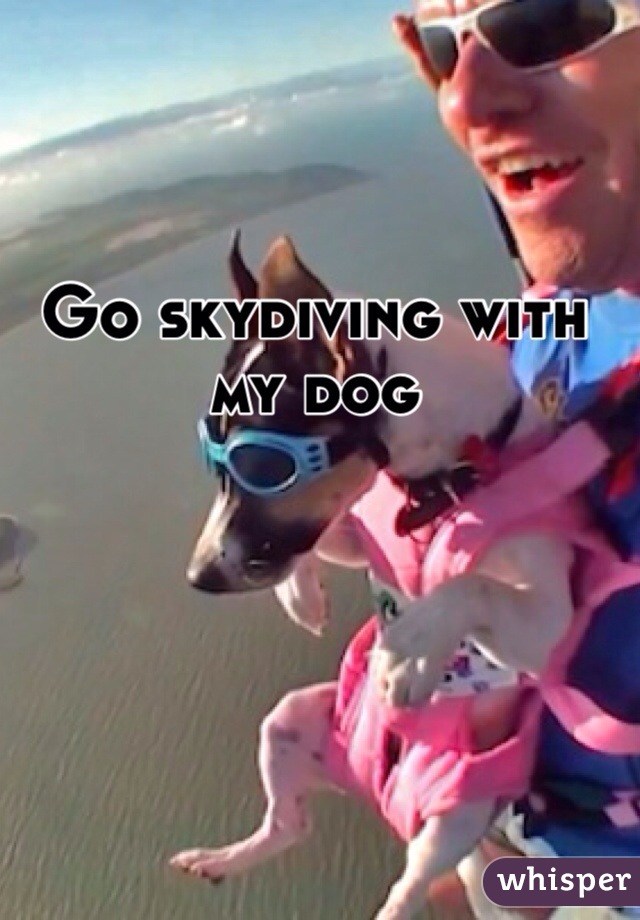 Go skydiving with my dog