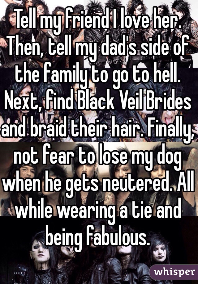 Tell my friend I love her. Then, tell my dad's side of the family to go to hell. Next, find Black Veil Brides and braid their hair. Finally, not fear to lose my dog when he gets neutered. All while wearing a tie and being fabulous.