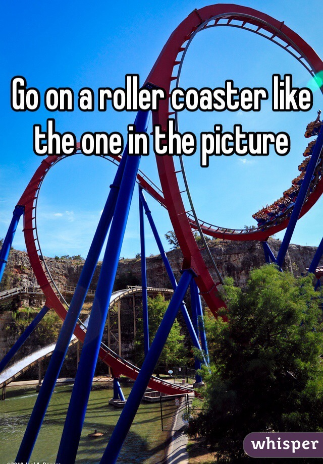 Go on a roller coaster like the one in the picture