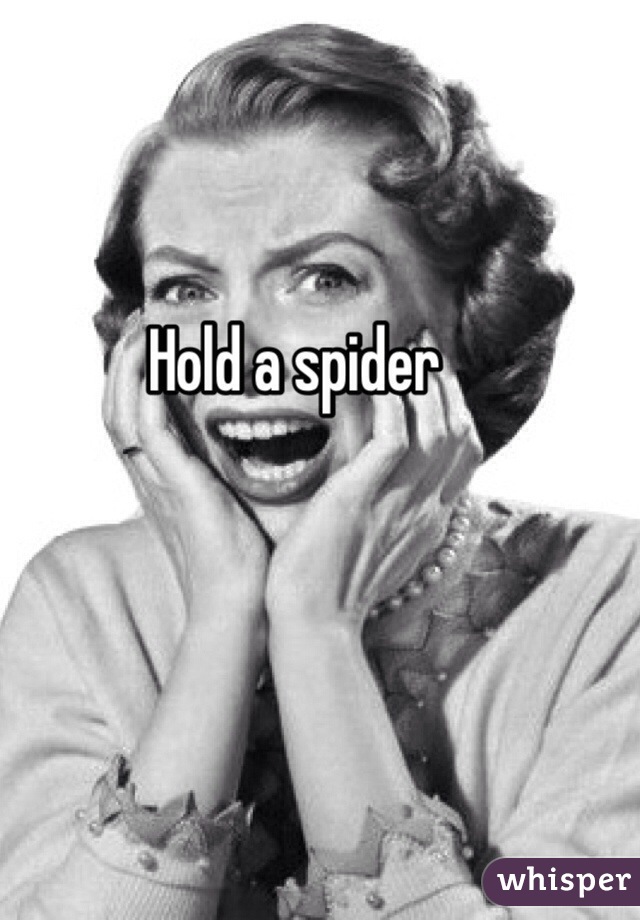 Hold a spider