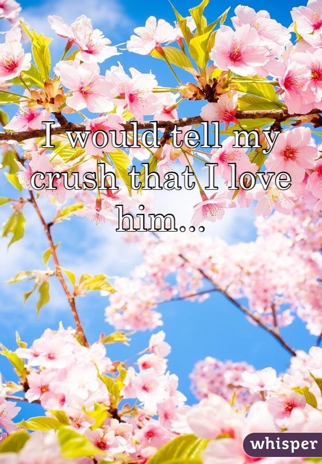 I would tell my crush that I love him...