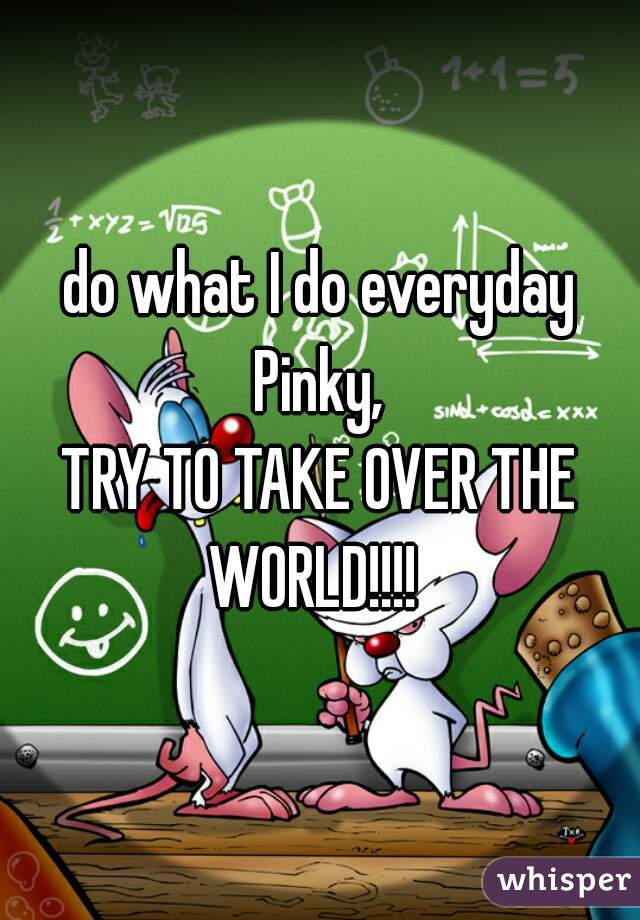 do what I do everyday Pinky, 
TRY TO TAKE OVER THE WORLD!!!!  