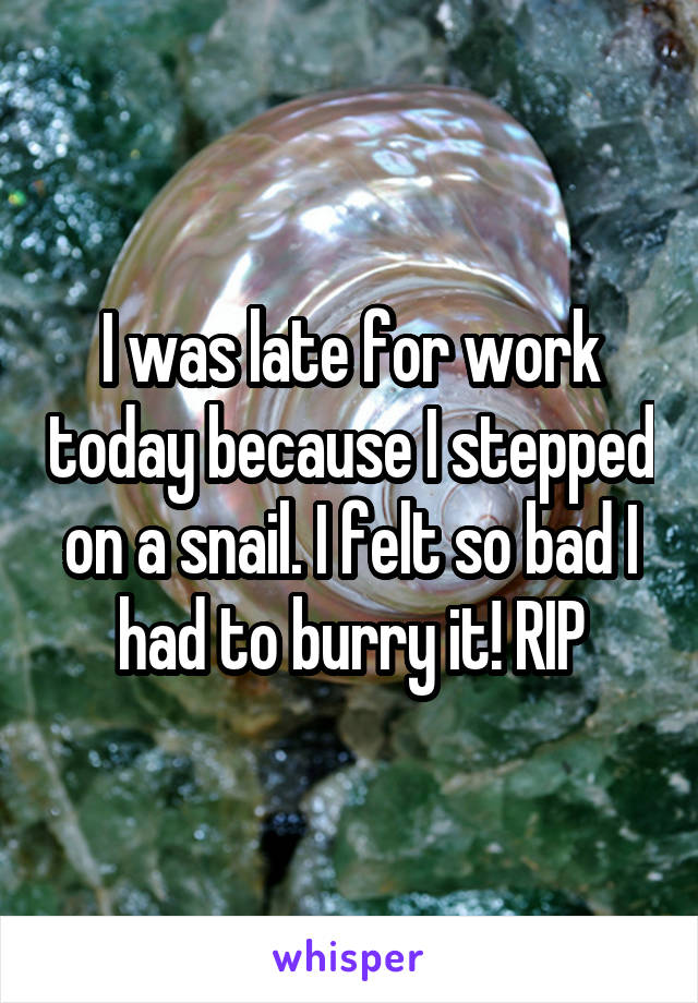 I was late for work today because I stepped on a snail. I felt so bad I had to burry it! RIP