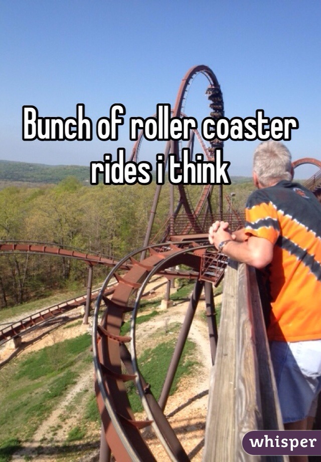 Bunch of roller coaster rides i think 