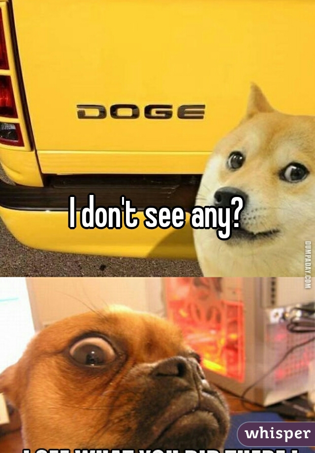 I Dont See Any 