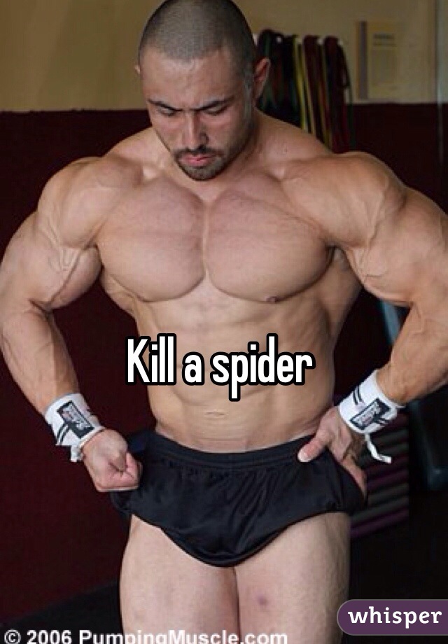 Kill a spider 