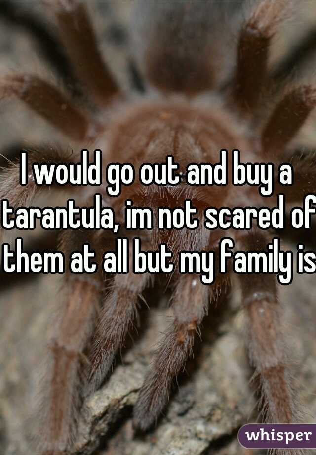 I would go out and buy a tarantula, im not scared of them at all but my family is