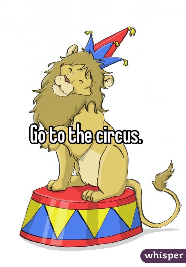 Go to the circus. 