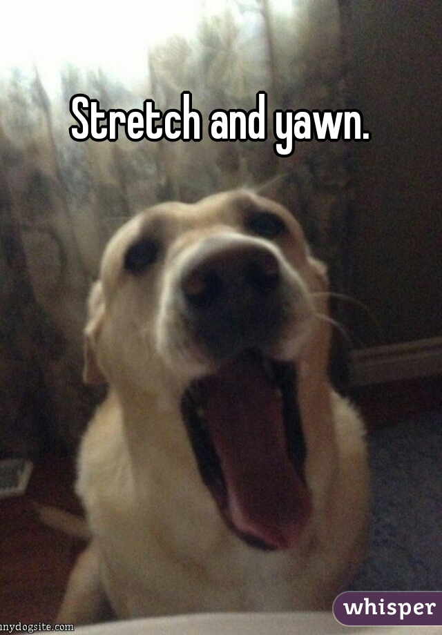 Stretch and yawn. 