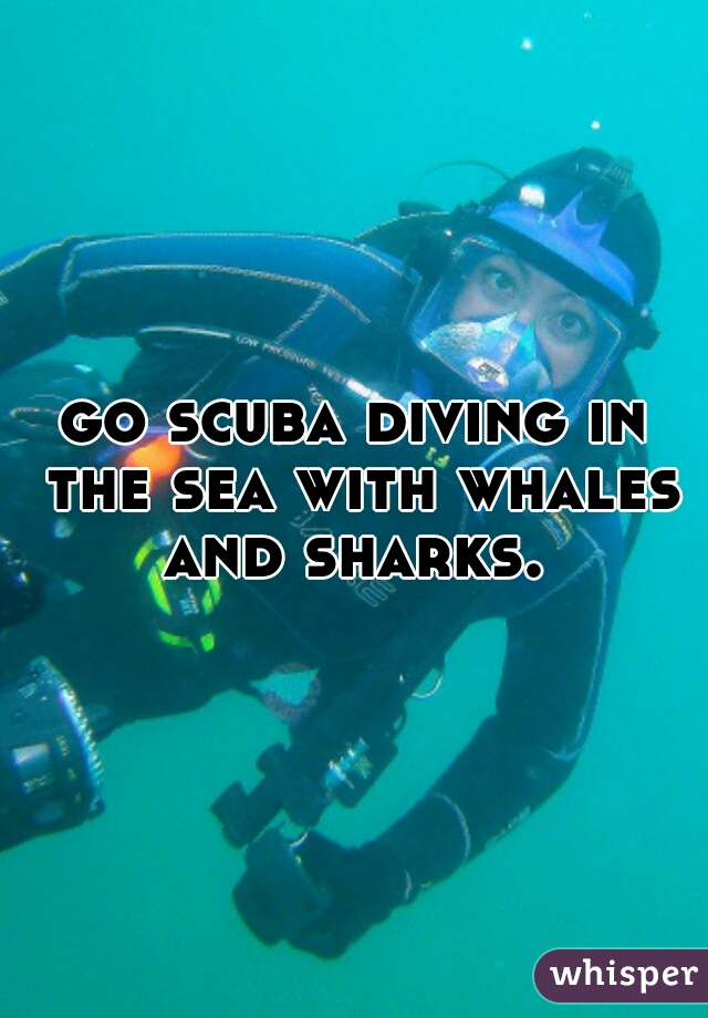 go scuba diving in the sea with whales and sharks. 
 