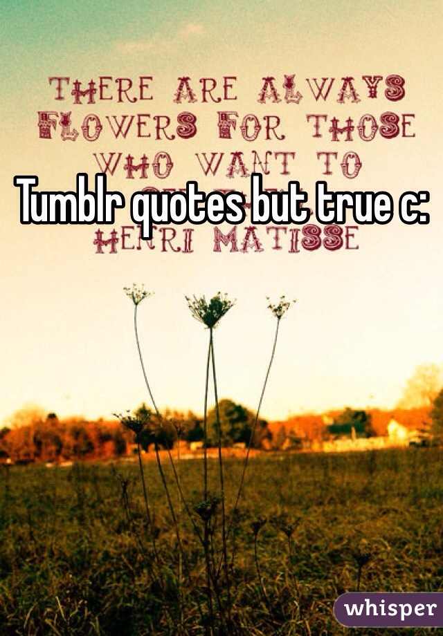 Tumblr quotes but true c: