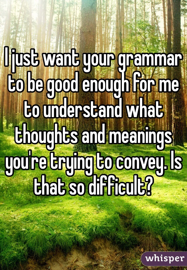 I just want your grammar to be good enough for me to understand what thoughts and meanings you're trying to convey. Is that so difficult?