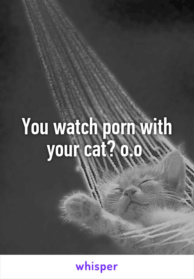 You watch porn with your cat? o.o 