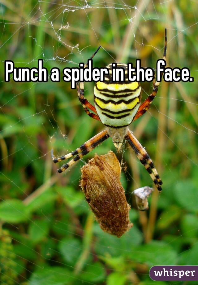 Punch a spider in the face.