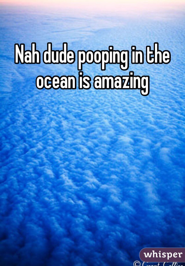 Nah dude pooping in the ocean is amazing