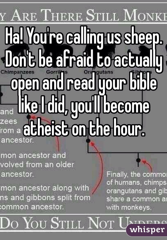 Ha! You're calling us sheep. Don't be afraid to actually open and read your bible like I did, you'll become atheist on the hour.