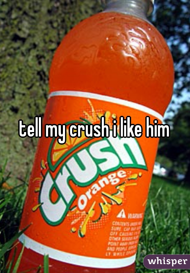 tell my crush i like him