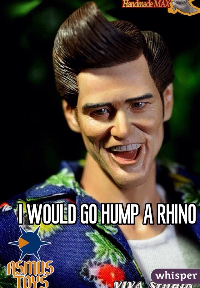 I WOULD GO HUMP A RHINO