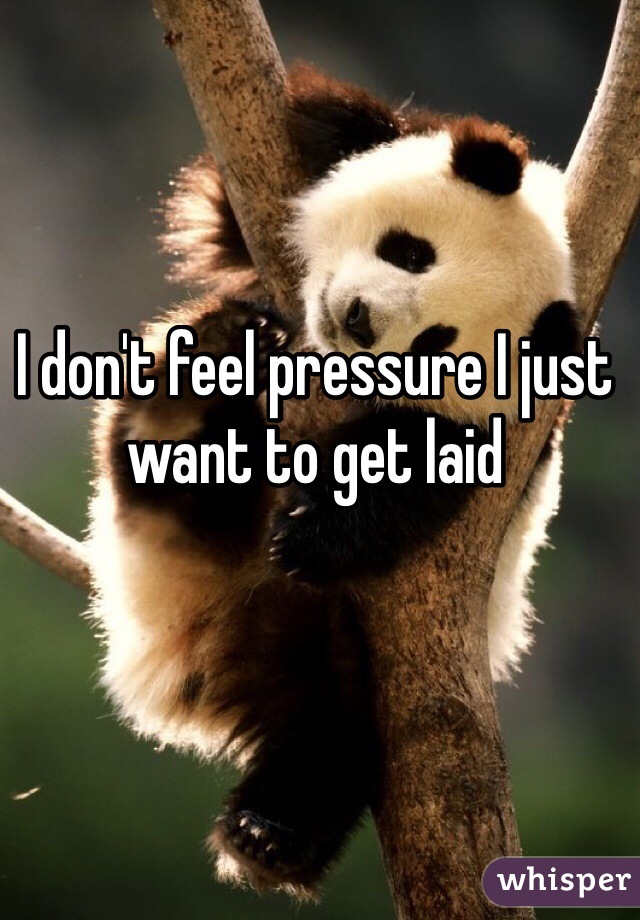 I don't feel pressure I just want to get laid 