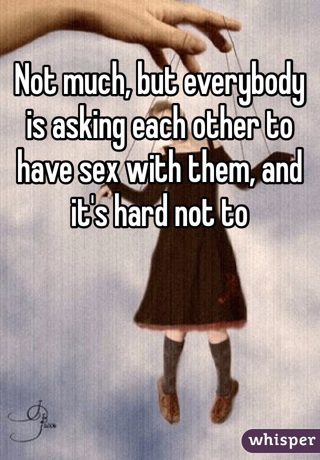 Not much, but everybody is asking each other to have sex with them, and it's hard not to