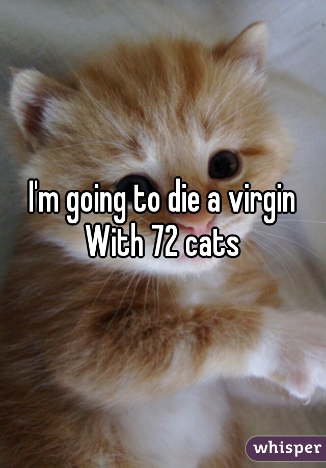I'm going to die a virgin


With 72 cats